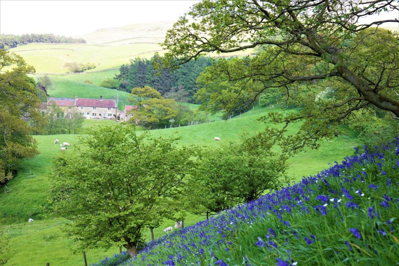 Bluebells Cottage Chop Gate Εξωτερικό φωτογραφία