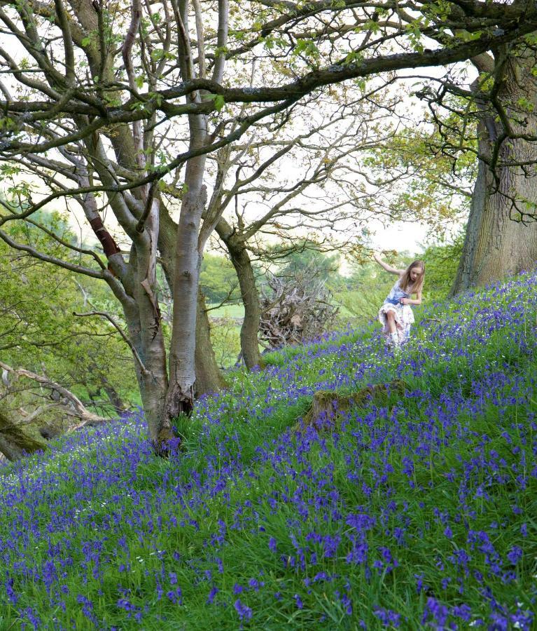 Bluebells Cottage Chop Gate Εξωτερικό φωτογραφία
