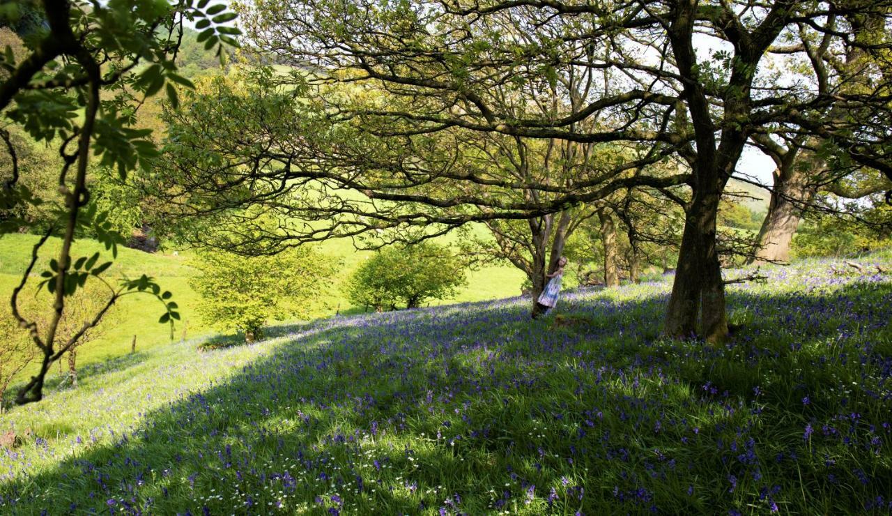 Bluebells Cottage Chop Gate Εξωτερικό φωτογραφία